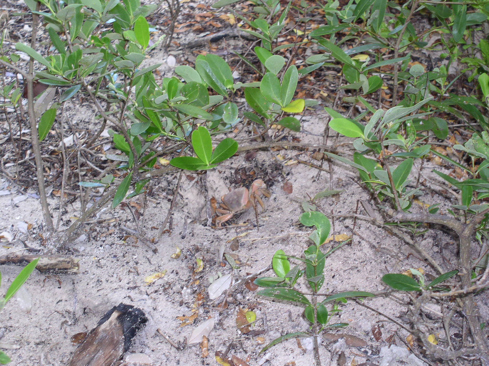photo1
